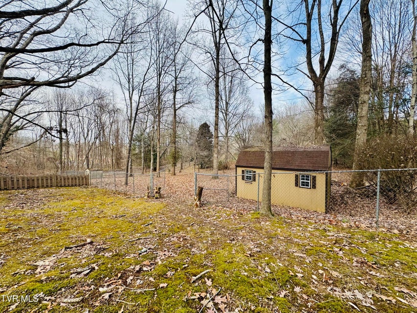 Photo #75: 5 Red Fern Circle