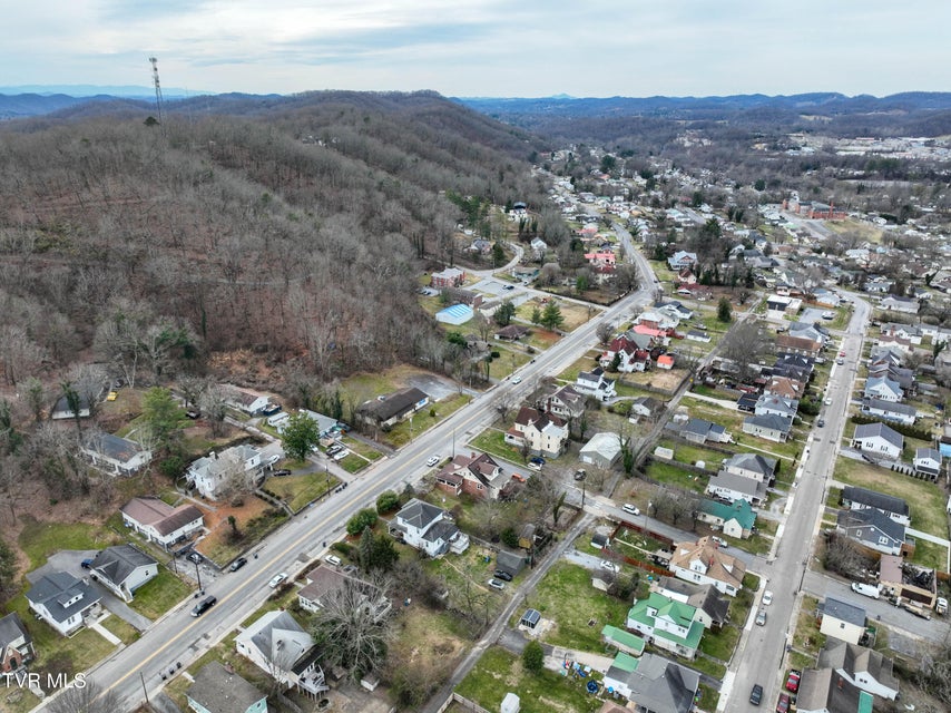 Photo #66: 1401 Windsor Avenue