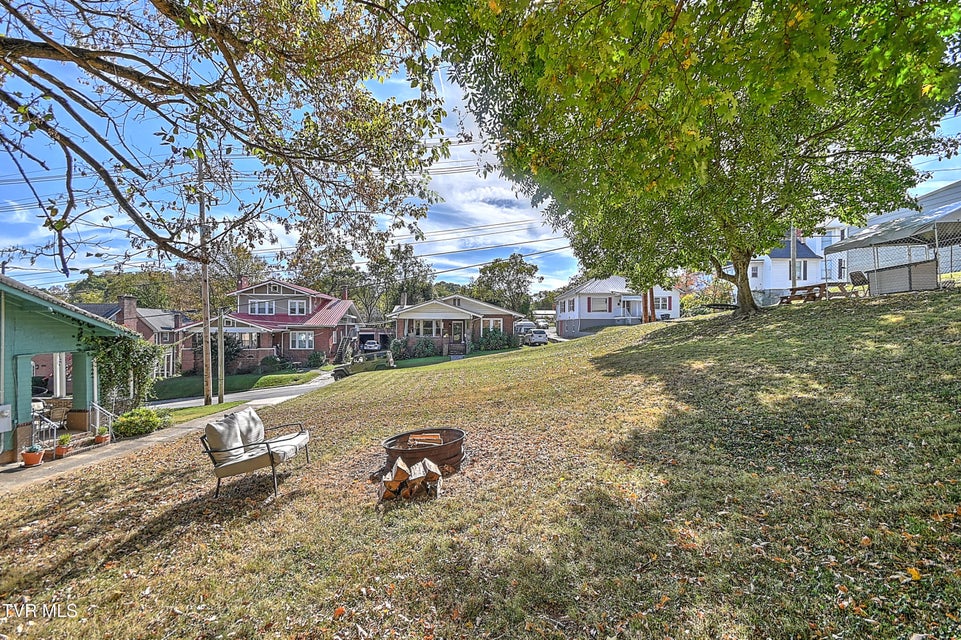 Photo #65: 217 Irish Street