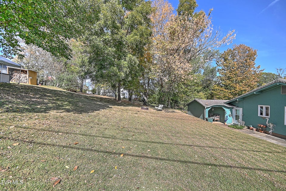 Photo #66: 217 Irish Street