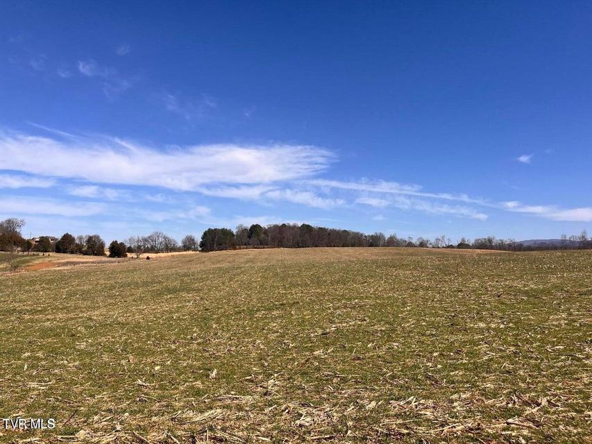 Photo #14: Tbd Lot 3 River Village Ln 