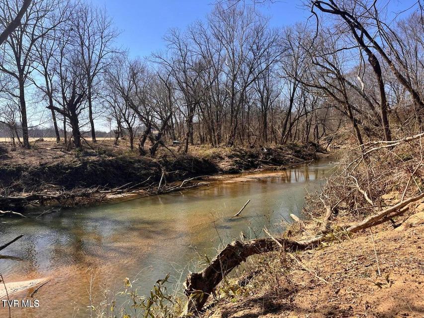 Photo #18: Tbd Lot 3 River Village Ln 