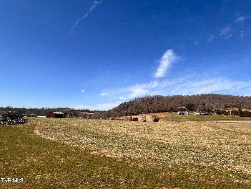 Photo #20: Tbd Lot 3 River Village Ln 