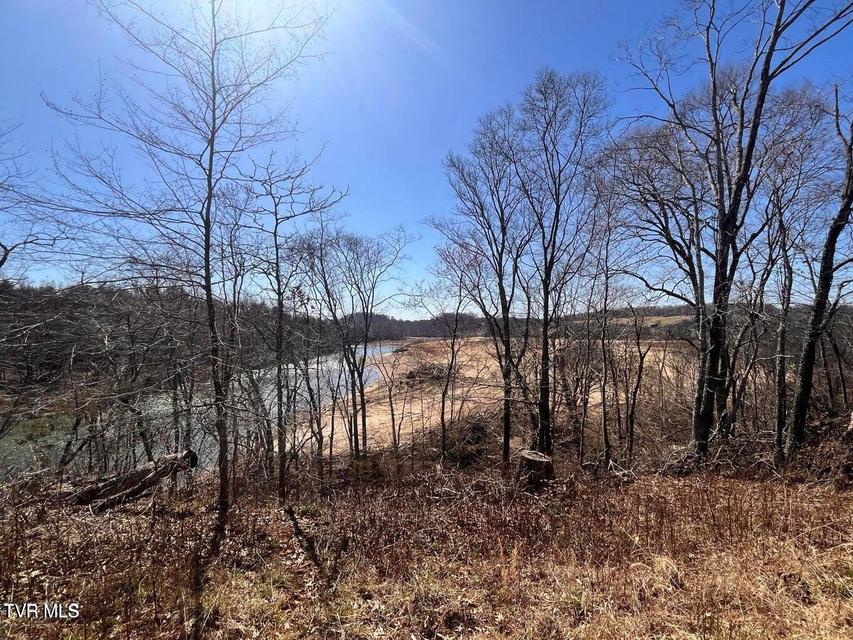 Photo #22: Tbd Lot 3 River Village Ln 