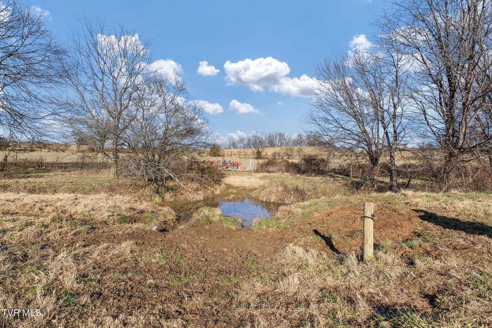 Photo #35: 15 Ac Old Kentucky Road