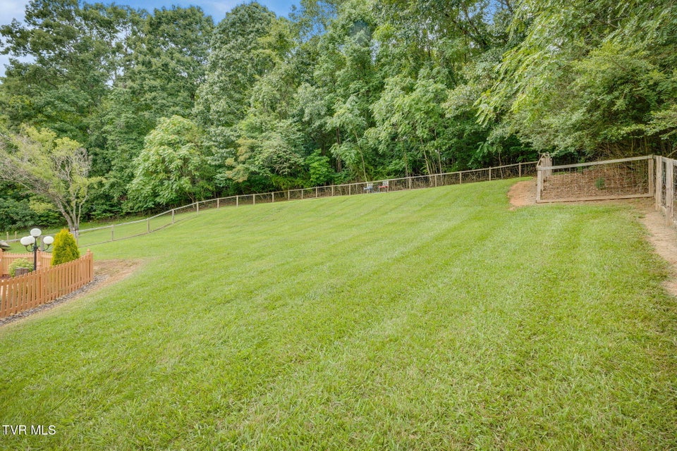 Photo #46: 285 Spurgeon Road