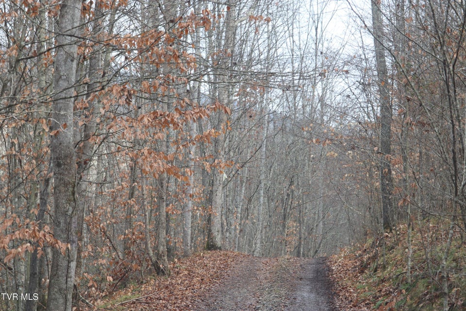 Photo #19: 0 Brair Fork Road