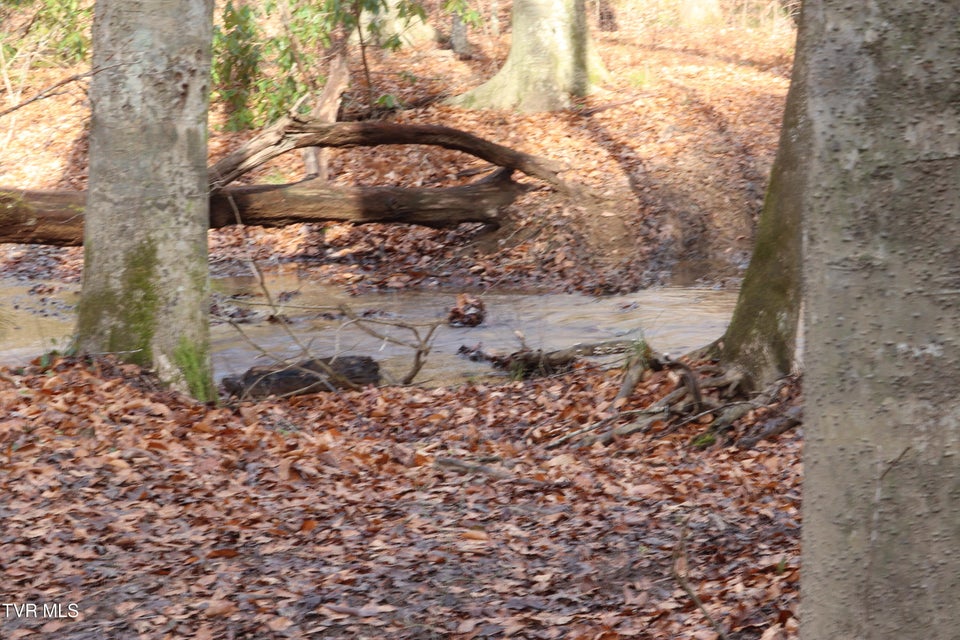 Photo #5: 0 Brair Fork Road