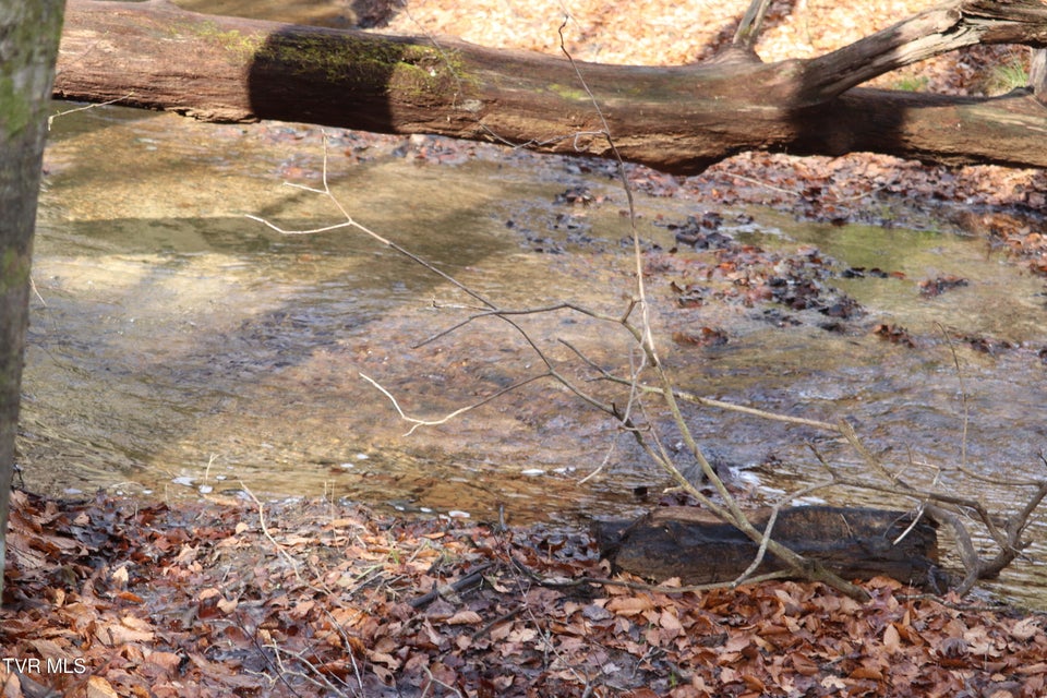 Photo #6: 0 Brair Fork Road