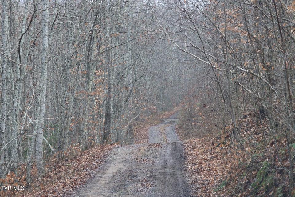 Photo #7: 0 Brair Fork Road
