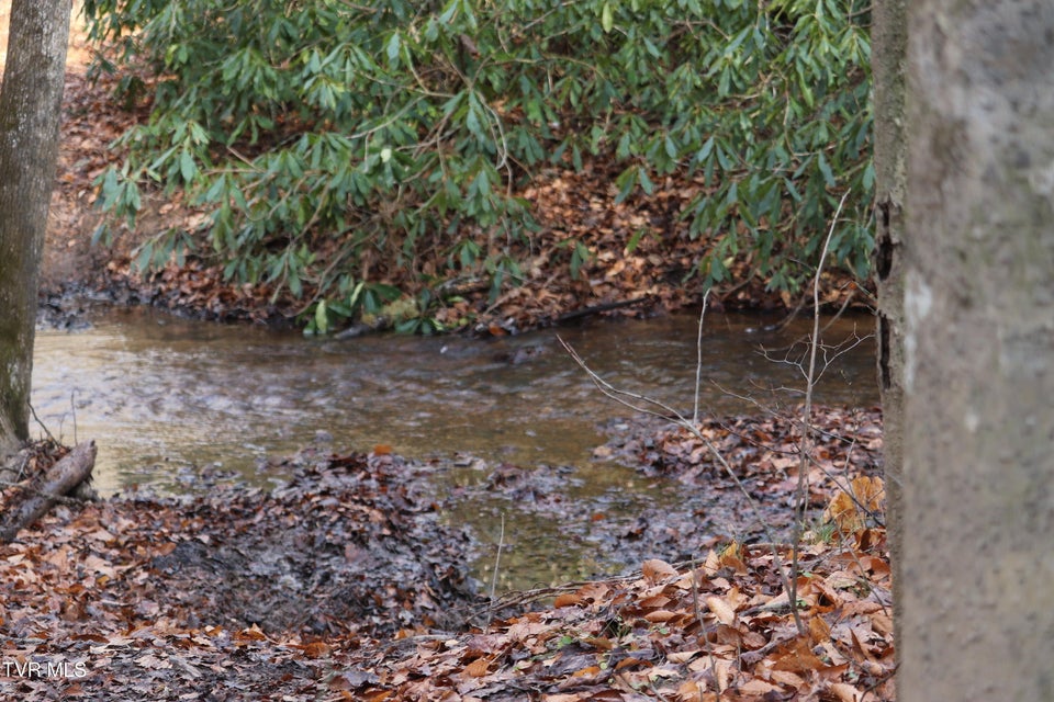 Photo #20: 0 Brair Fork Road