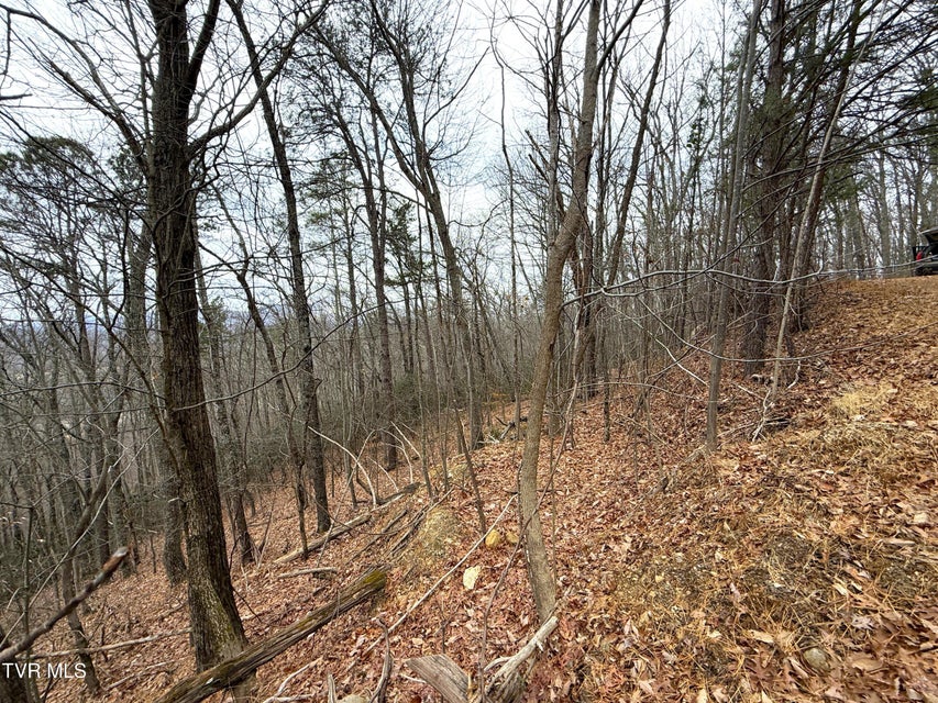 Photo #7: 1.01 Ac Green Forest Road