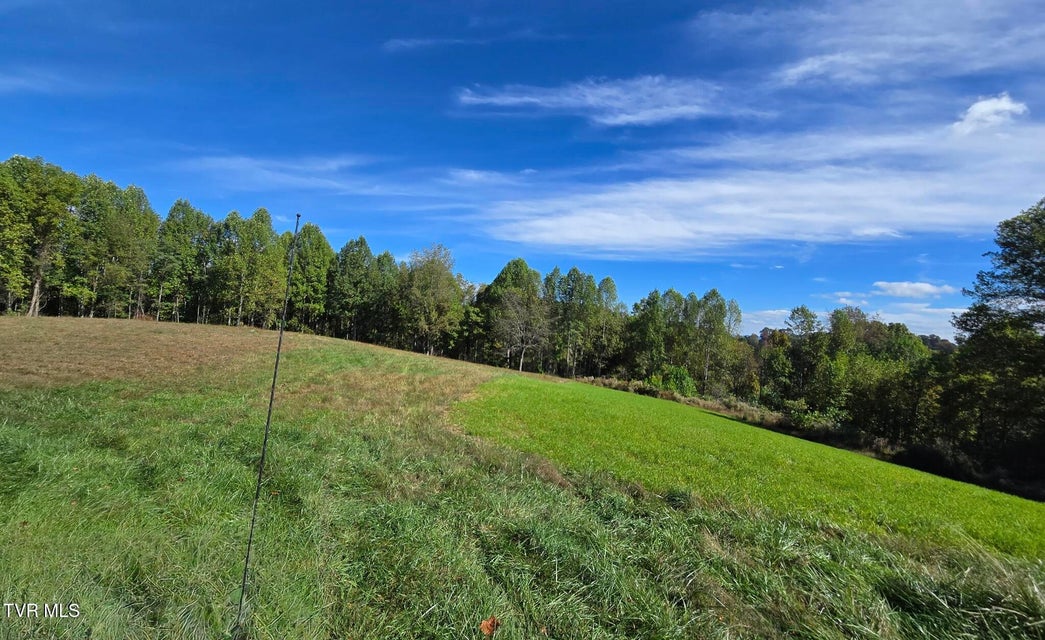 Photo #36: 1965 Carterton Road