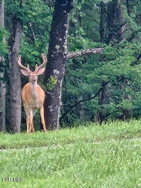 Photo #9: 1965 Carterton Road