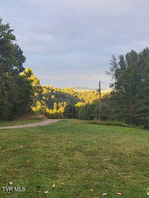 Photo #43: 1965 Carterton Road