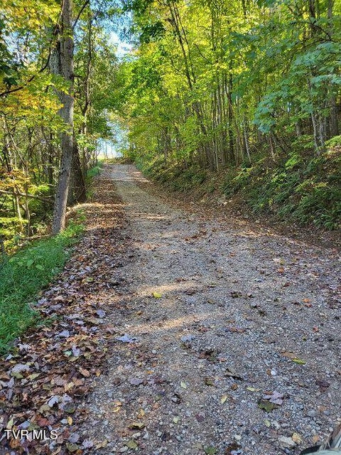 Photo #44: 1965 Carterton Road