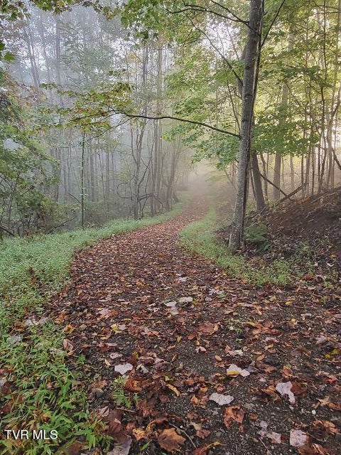 Photo #6: 1965 Carterton Road