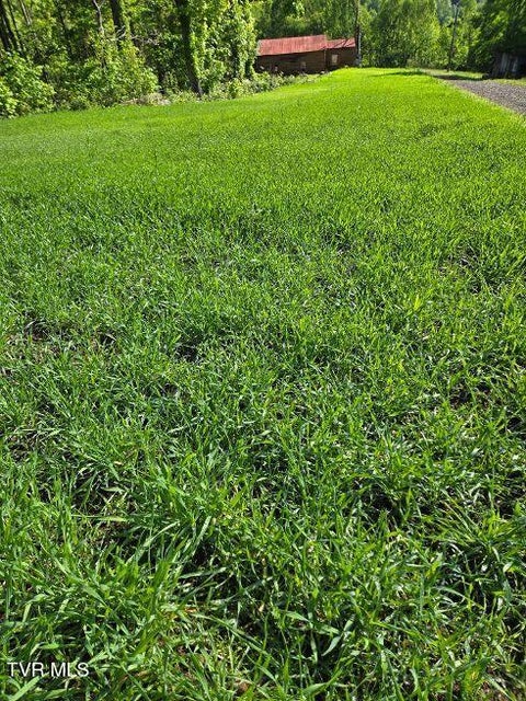 Photo #45: 1965 Carterton Road