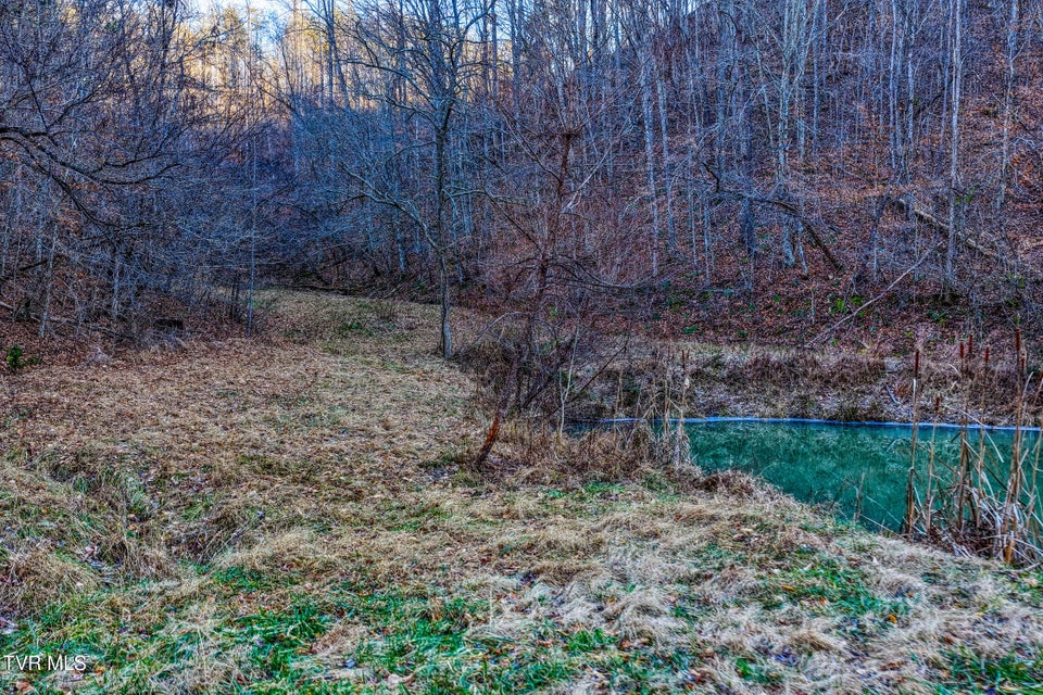 Photo #20: 1028 Pumpkin Valley Road