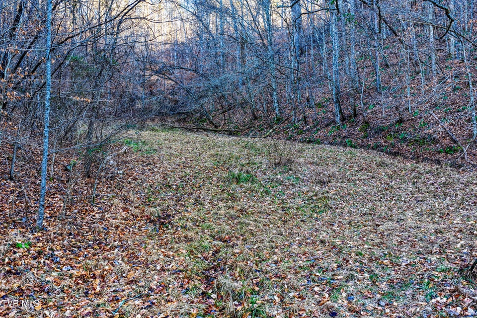 Photo #21: 1028 Pumpkin Valley Road