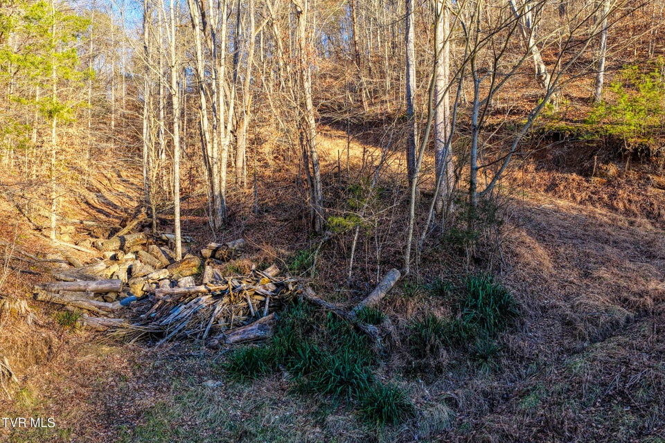 Photo #25: 1028 Pumpkin Valley Road