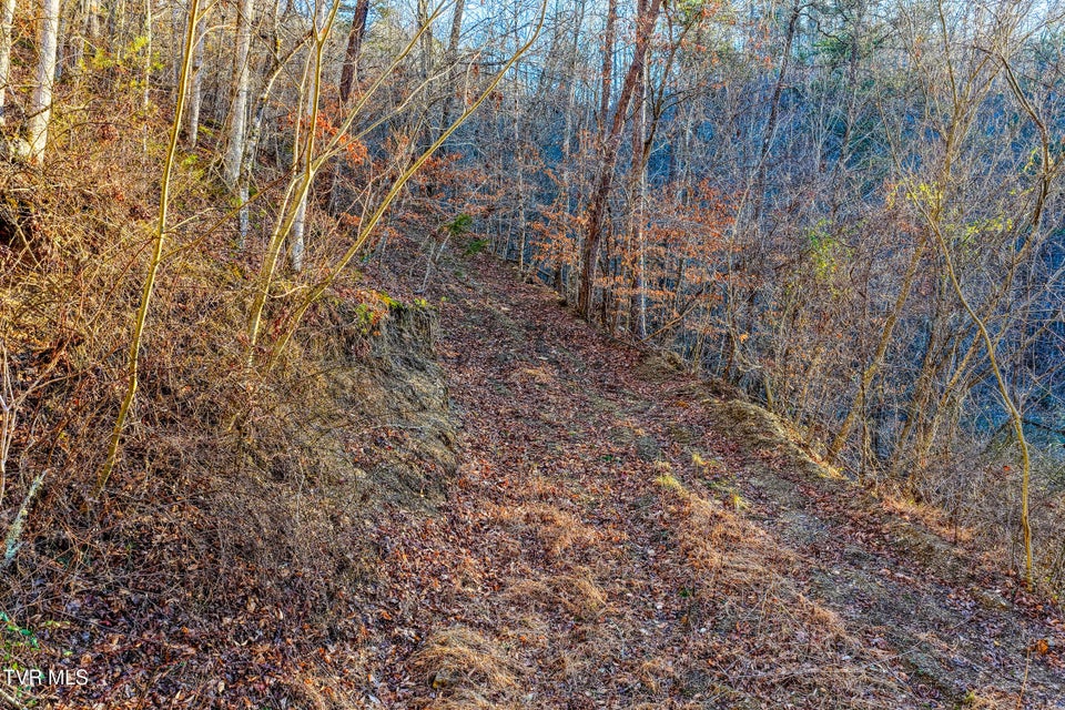 Photo #27: 1028 Pumpkin Valley Road