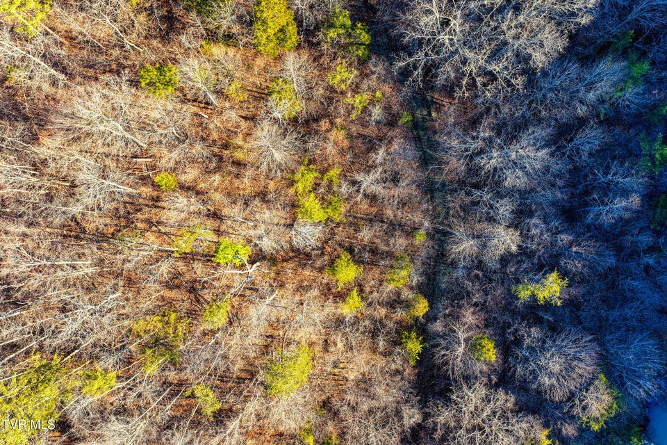 Photo #28: 1028 Pumpkin Valley Road