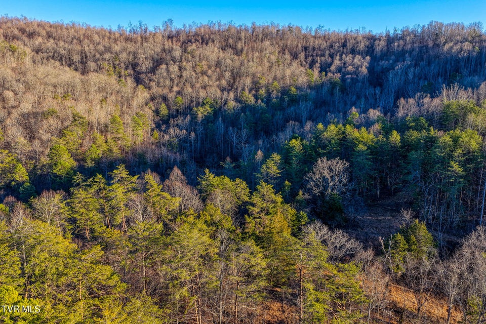 Photo #29: 1028 Pumpkin Valley Road