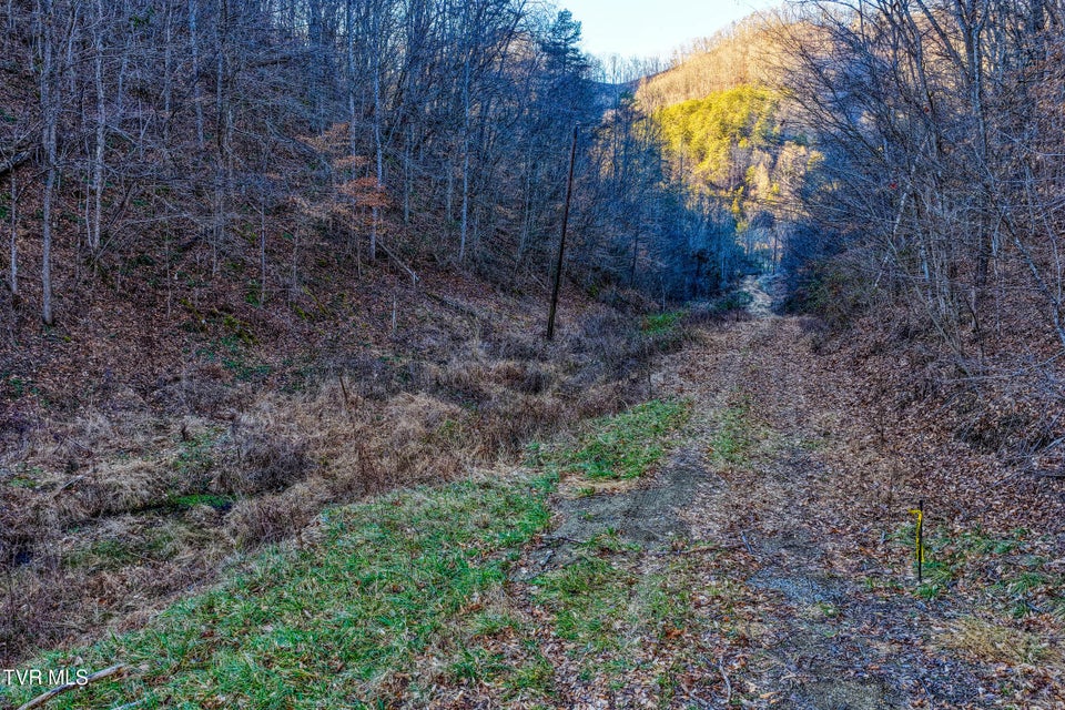 Photo #32: 1028 Pumpkin Valley Road