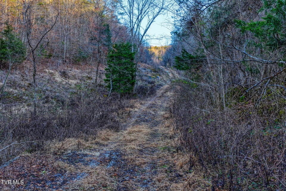 Photo #37: 1028 Pumpkin Valley Road