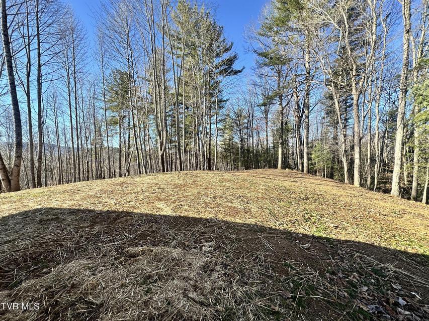 Photo #46: 256 William Hawkins Lane