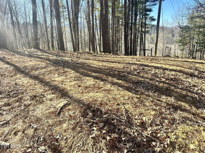 Photo #49: 256 William Hawkins Lane