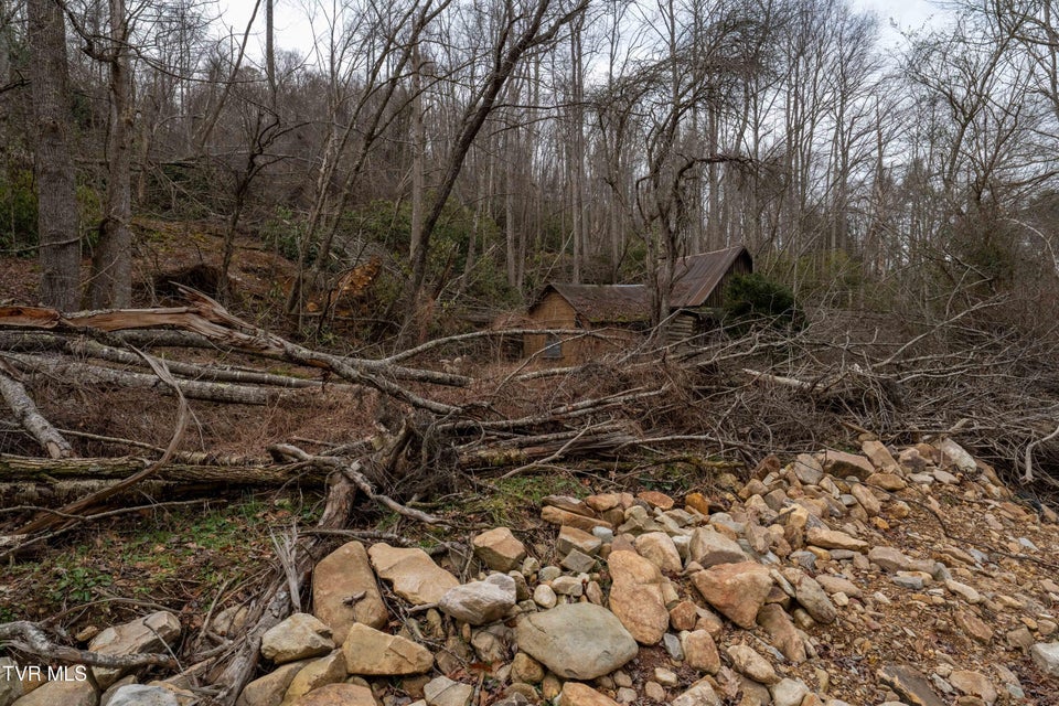 Photo #14: Tbd Laurel Road