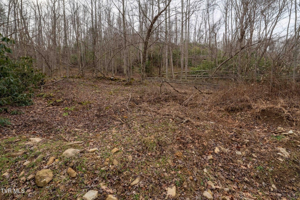 Photo #15: Tbd Laurel Road