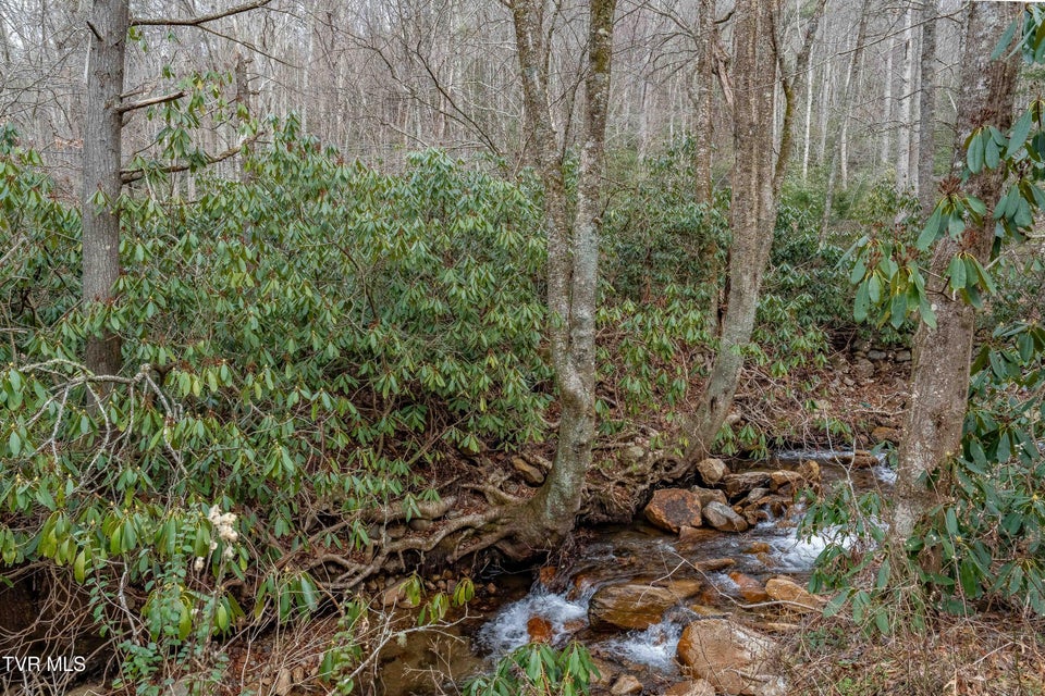 Photo #16: Tbd Laurel Road