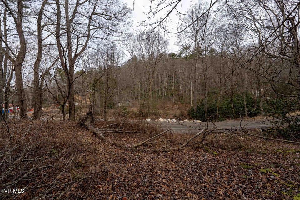 Photo #4: Tbd Laurel Road