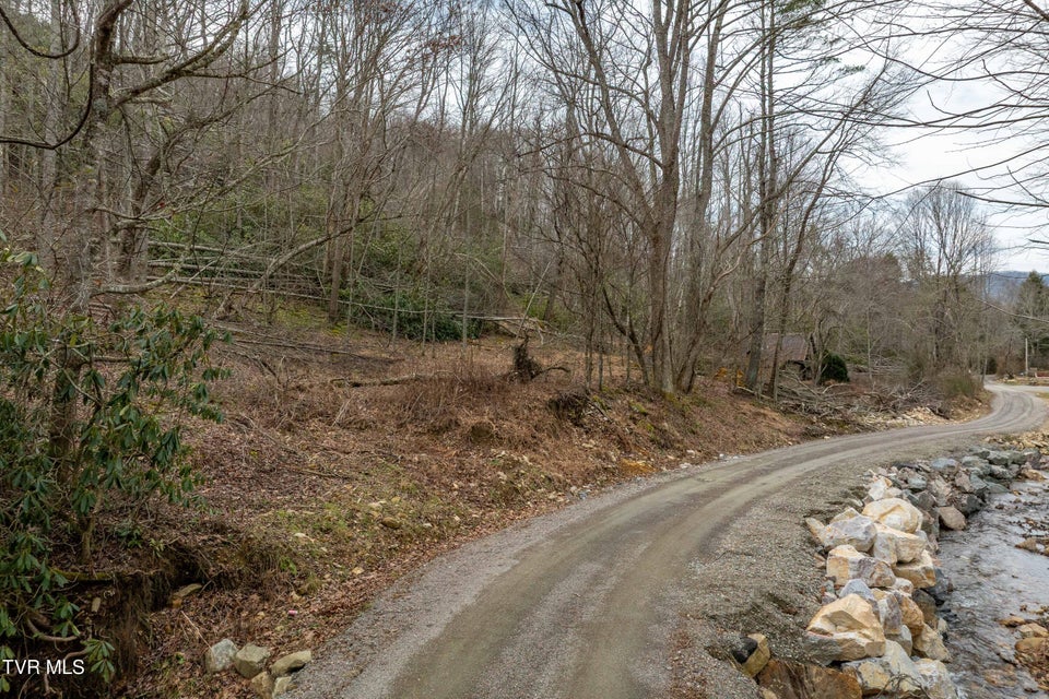 Photo #5: Tbd Laurel Road