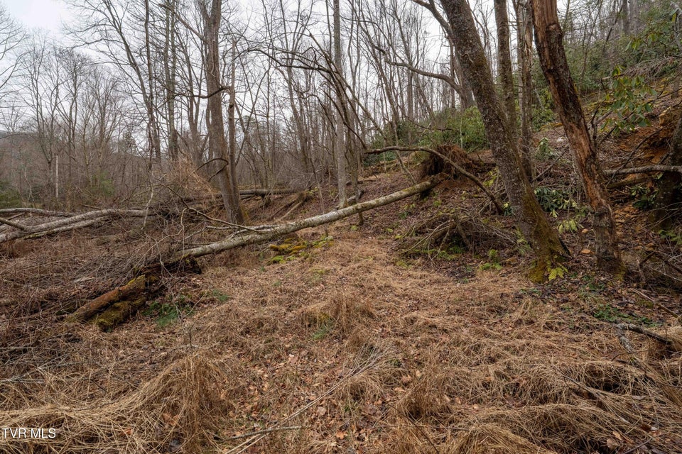 Photo #23: Tbd Laurel Road