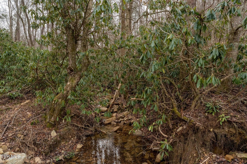 Photo #24: Tbd Laurel Road