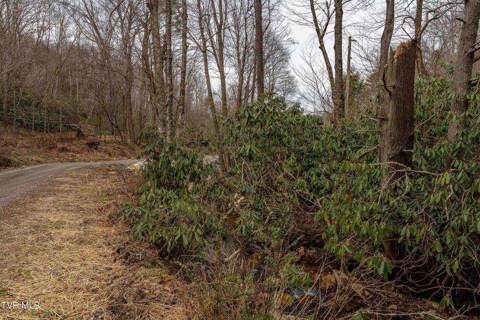 Photo #10: Tbd Laurel Road