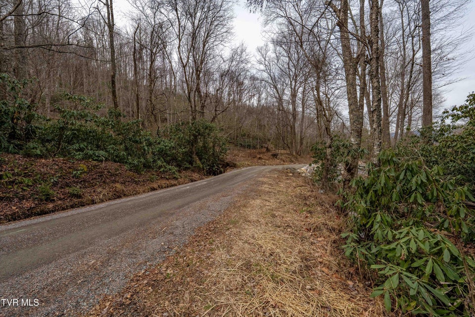 Photo #9: Tbd Laurel Road