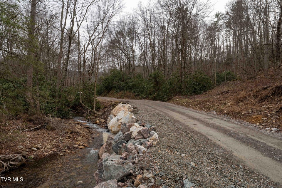 Photo #11: Tbd Laurel Road