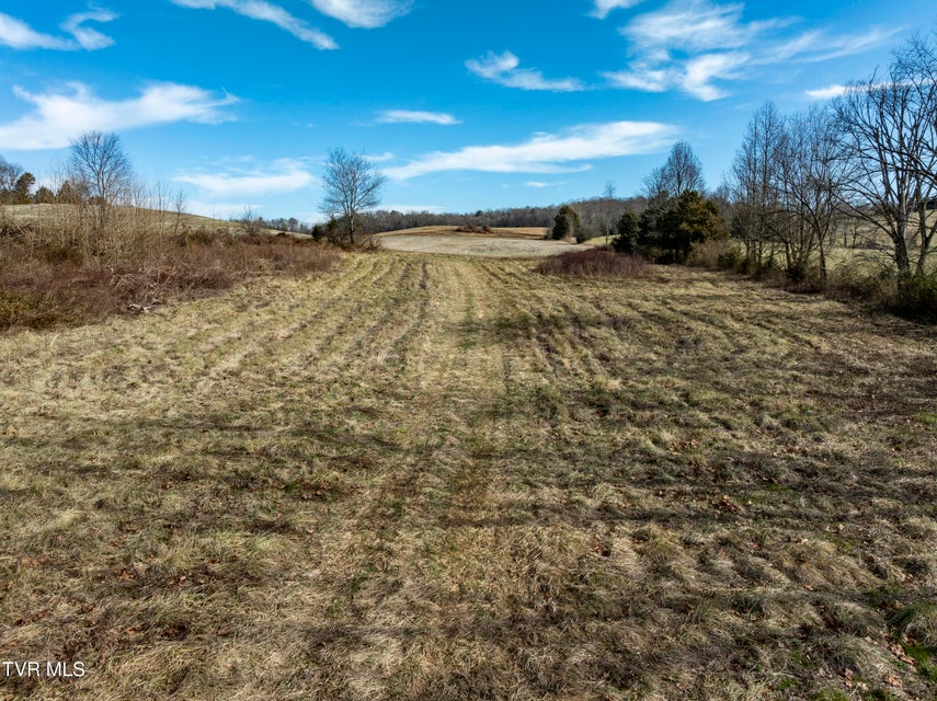 Photo #27: 0 Pleasant Hill Road