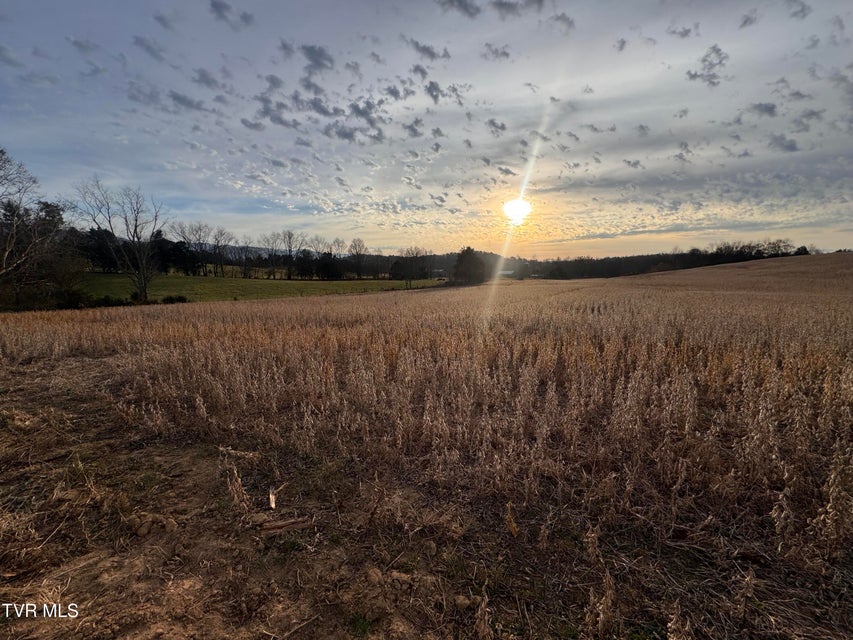 Photo #28: 0 Pleasant Hill Road