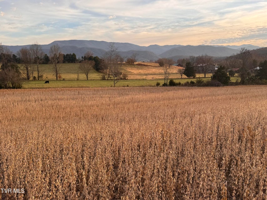 Photo #2: 0 Pleasant Hill Road