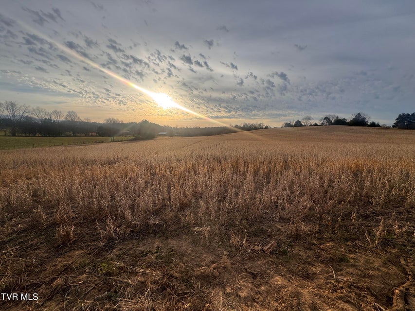 Photo #30: 0 Pleasant Hill Road