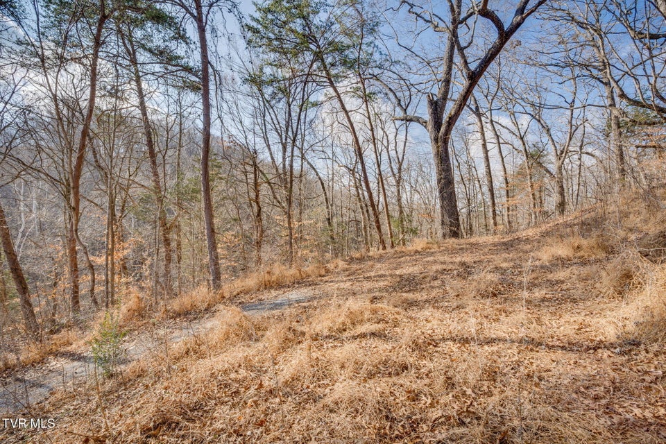 Photo #5: Tbd Whitehouse Road