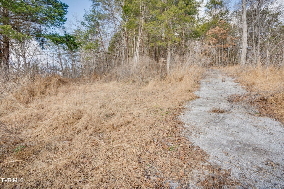 Photo #7: Tbd Whitehouse Road