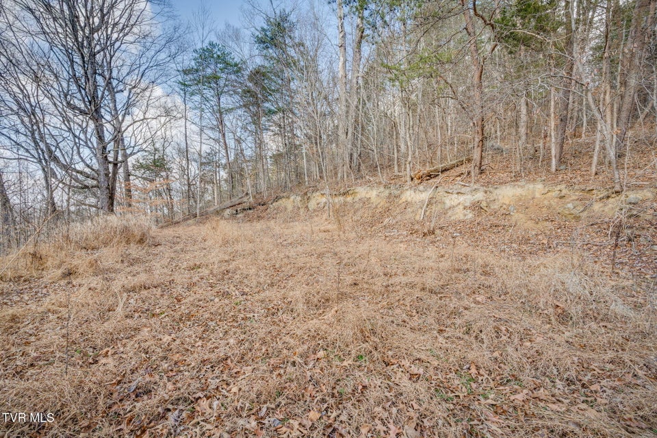 Photo #9: Tbd Whitehouse Road