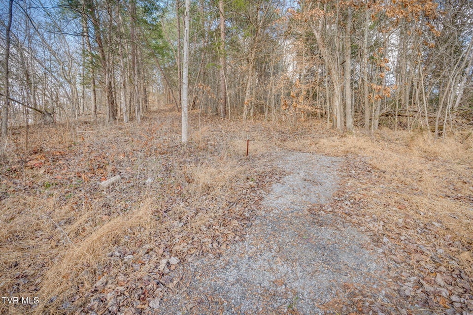 Photo #11: Tbd Whitehouse Road